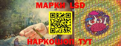 индика Беслан