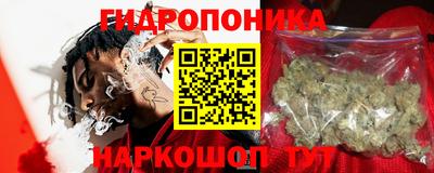 индика Беслан