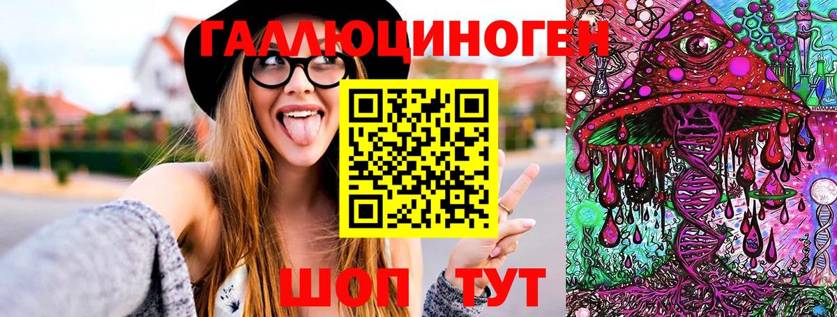 Псилоцибиновые грибы MAGIC MUSHROOMS  Вход с VPN  Кингисепп  Галлюциногенные грибы Psilocybe 