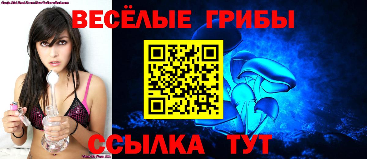 Псилоцибиновые грибы мицелий Кингисепп