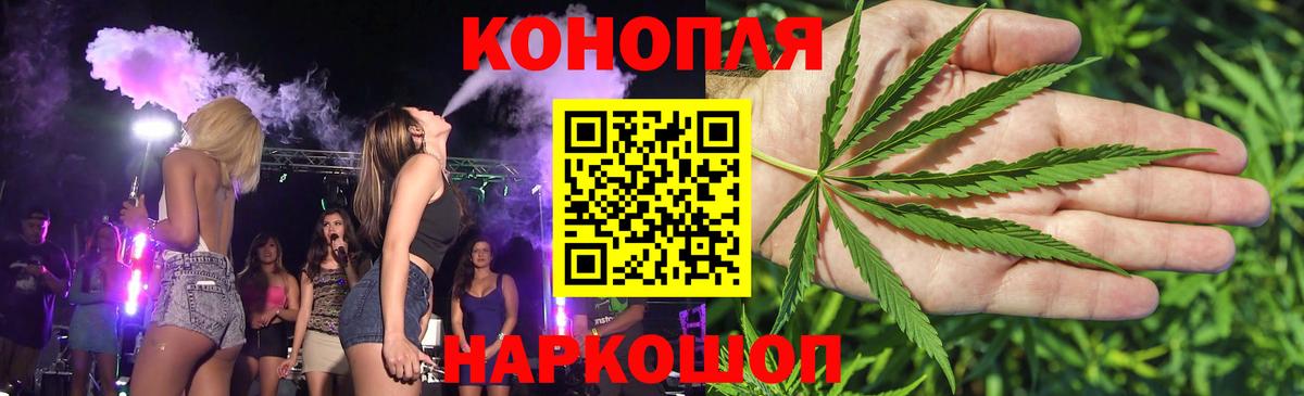 Кингисепп  Шишки марихуана семена  Вход с VPN  Шишки марихуана семена  Каннабис индика 